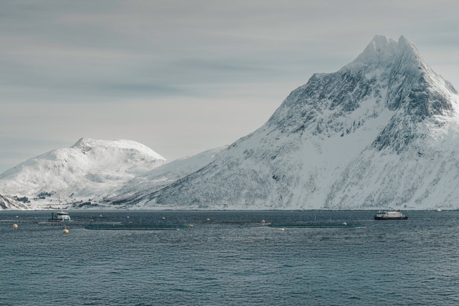 Manejo Produtivo na Piscicultura